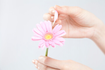 花占いをする手