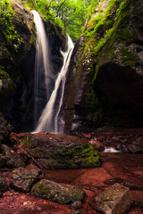 Naklejka na ściany i meble Waterfall In the Spring Forest