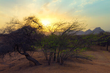 Fototapeta na wymiar Sunset over Bera, Rajasthan, India