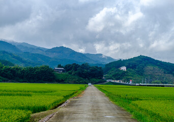 road in the mountains