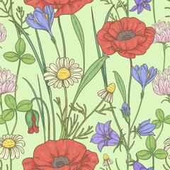 Seamless pattern with wildflowers and herbs