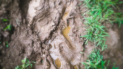 Rain water accumulated in foot imprint of dirty mud in the grass meadow. Very enjoying and relaxing...