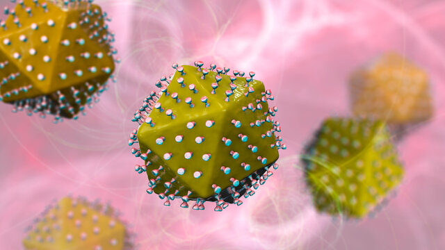 Asfarviridae Images et vidéos libres de droits Adobe Stock