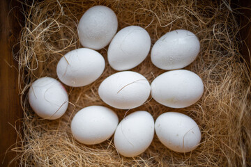 Eco-product. A wooden box of hay containing a ten white eggs. View from the top. Close up. Flat lay. Concept of natural and farm food