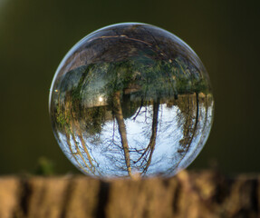 Glass Lens Crystal Photographic Sphere Ball showing magnified and inverted images in Bluebell woods