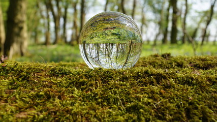 Glass Lens Crystal Photographic Sphere Ball showing magnified and inverted images in Bluebell woods