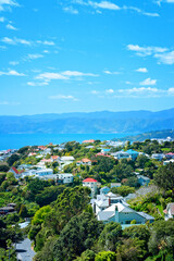 Fototapeta na wymiar Cosy villas amongst lush green by the side of Wellington Harbour. Gorgeous sunny day on North Island, New Zealand