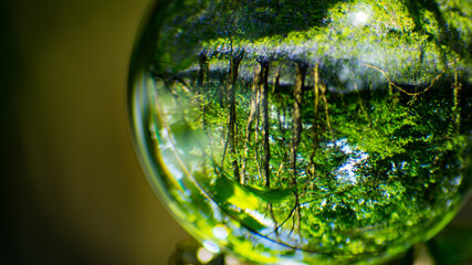 Glass Lens Crystal Photographic Sphere Ball showing magnified and inverted images in Bluebell woods