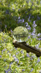 Glass Lens Crystal Photographic Sphere Ball showing magnified and inverted images in Bluebell woods