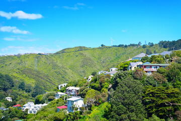 Quiet hilly suburb and mountain park behind it in Wellington, New Zealand. Bright sunny day in spring or summer.
