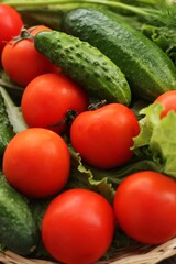 Fototapeta na wymiar Cucumbers tomatoes and dill for salad macro 