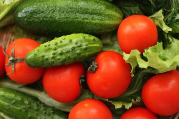 Cucumbers tomatoes and dill for salad macro 