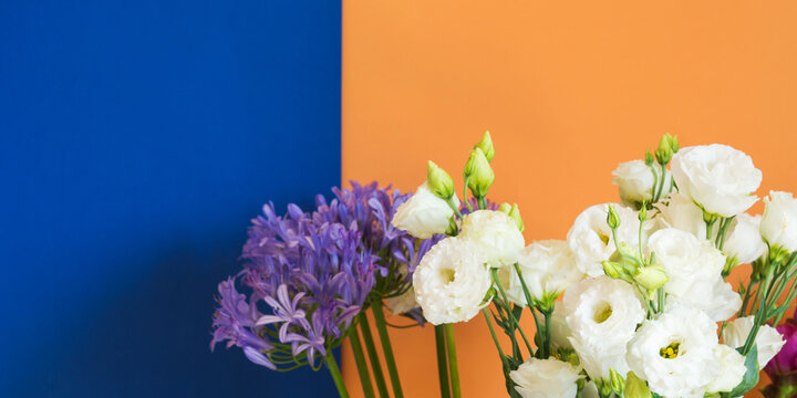 Beautiful White Flowers Bouquet On Cantaloupe Orange And Classic Blue Background. Trendy Duotone Color Design Background. Banner