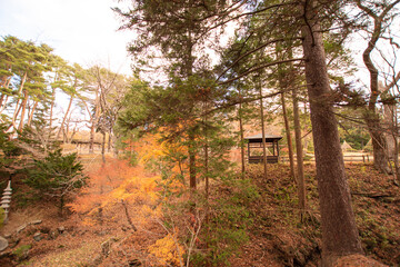 秋　紅葉　東屋