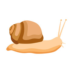 Fototapeta premium Grape snail isolated on white background. Garden snail in flat style. Vector illustration.