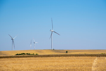 Fototapeta na wymiar Many wind turbines stand in a mown field against a blue sky.