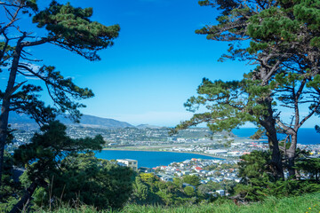 View from a pine forest on Mt Victoria over Wellington Airport located on a thin strip of land...