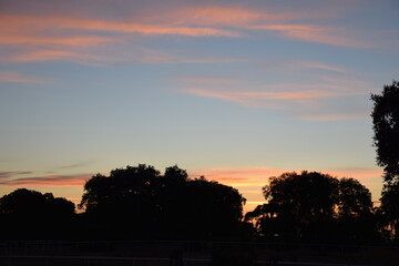 Atardecer con encinas y pequeñas nubes 