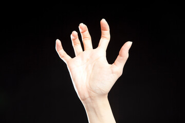 ガオーのポーズ