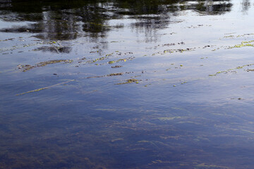 On a fine summer day, the sky is reflected on the surface of a clean Ural river. Natural background for graphic projects.