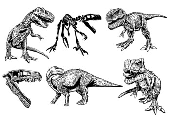 Vector set of dinosaurs isolated on white , elements for printing,graphical illustration