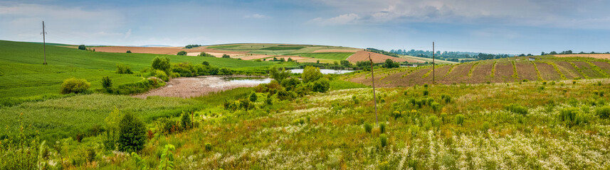 Fototapeta na wymiar panoramic view of agricultural land and the lake from above, picturesque landscapes
