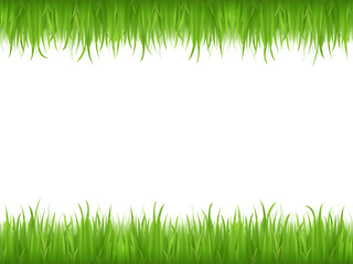 light green animation grass herb lawn and fresh bright grass lawn pattern textured on white.