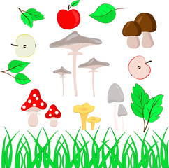 Autumn set of mushrooms, leaves, greens and apples on a white background. Vector on an autumn theme.
