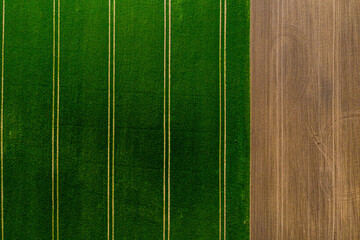 top view of agricultural fields, field with green grass on one side and plowed field on the other, abstract background with textures