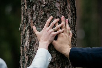 Beautiful two golden wedding rings. Made of highest quality material.