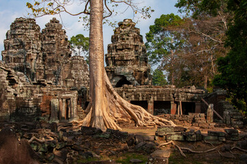 Tempelruine in Angkor 