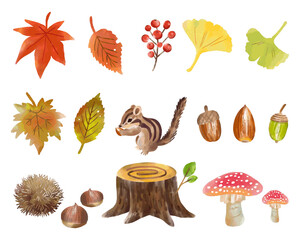 手描き水彩　りすと秋の植物イラストセット
