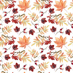 Watercolor hand painted seamless pattern with autumn leaves, rowan branches on white background. Perfect for fall or thanksgiving design. Digital Paper for wrapping, textile, scrapbook or background.