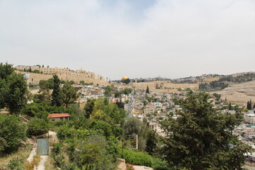 Fototapeta na wymiar view of the city of jerusalem