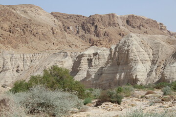Fototapeta premium desert rock