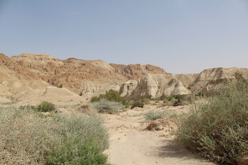 Fototapeta na wymiar desert landscape in the desert