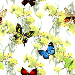 Seamless pattern illustration with colorful butterflies isolated on the background with yellow flowers