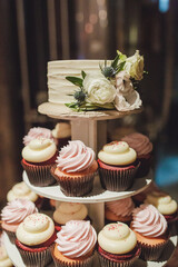 close up of elegant cupcakes on table for event