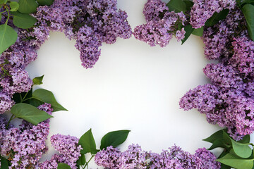 white leaf in a frame of lilac flowers