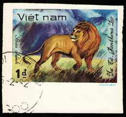 wild animal Lion (Panthera leo), fauna, Vietnam stamp circa 1981