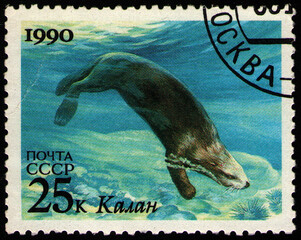 Sea Otter (Enhydra lutris), sea fauna, stamp USSR circa 1990