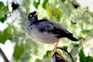 Bird Photo