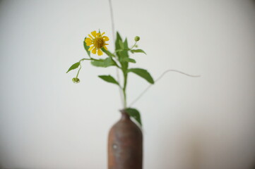 団子菊と一輪挿し