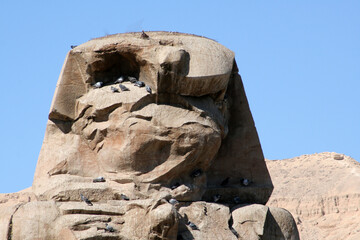 Closeup shot of an ancient Colossi of Memnon, Egypt with birds perched on it