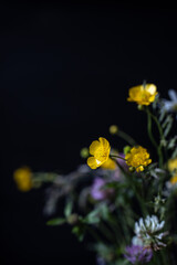 Fototapeta premium Beautiful bouquet of wildflowers. Dark background