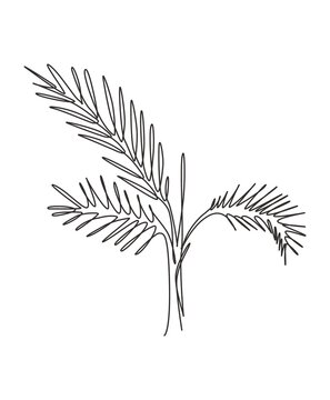 One single line drawing palm faux areca leaf vector illustration. Tropical leaves minimalistic style, floral pattern concept for poster, wall decor print. Modern continuous line graphic draw design
