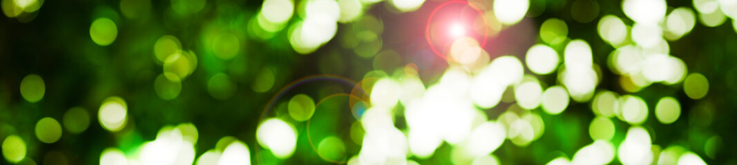 abstract green background with bokeh