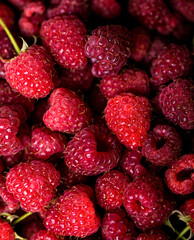 Fresh and sweet red raspberries texture. fruit pile background
