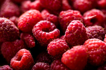 Fresh and sweet red raspberries texture. fruit pile background