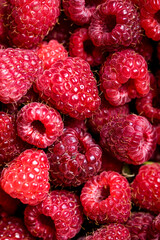 Fresh and sweet red raspberries texture. fruit pile background